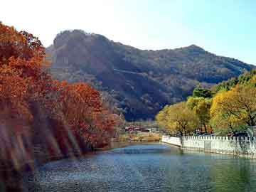 新澳天天开奖资料大全旅游团，重生之另一个小智